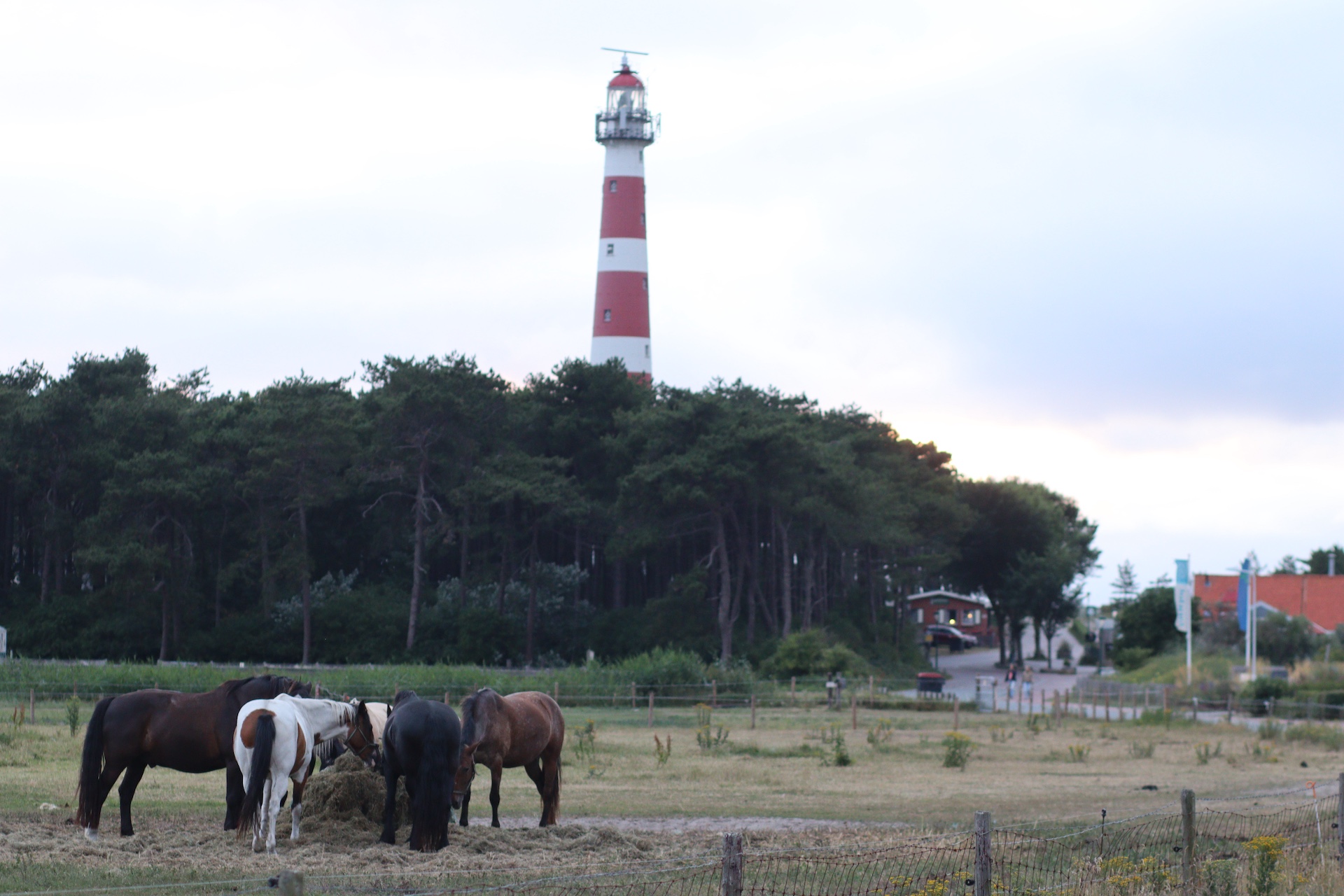 Pannekoekhuis Onder de Vuurtoren („Palačinkárna pod majákem“) a maják v Hollumu na ostrově Ameland v Nizozemsku | Foto: Honza Bartošek.