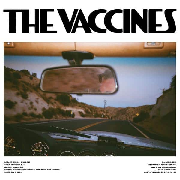 The Vaccines - Pick-Up Full Of Pink Carnation