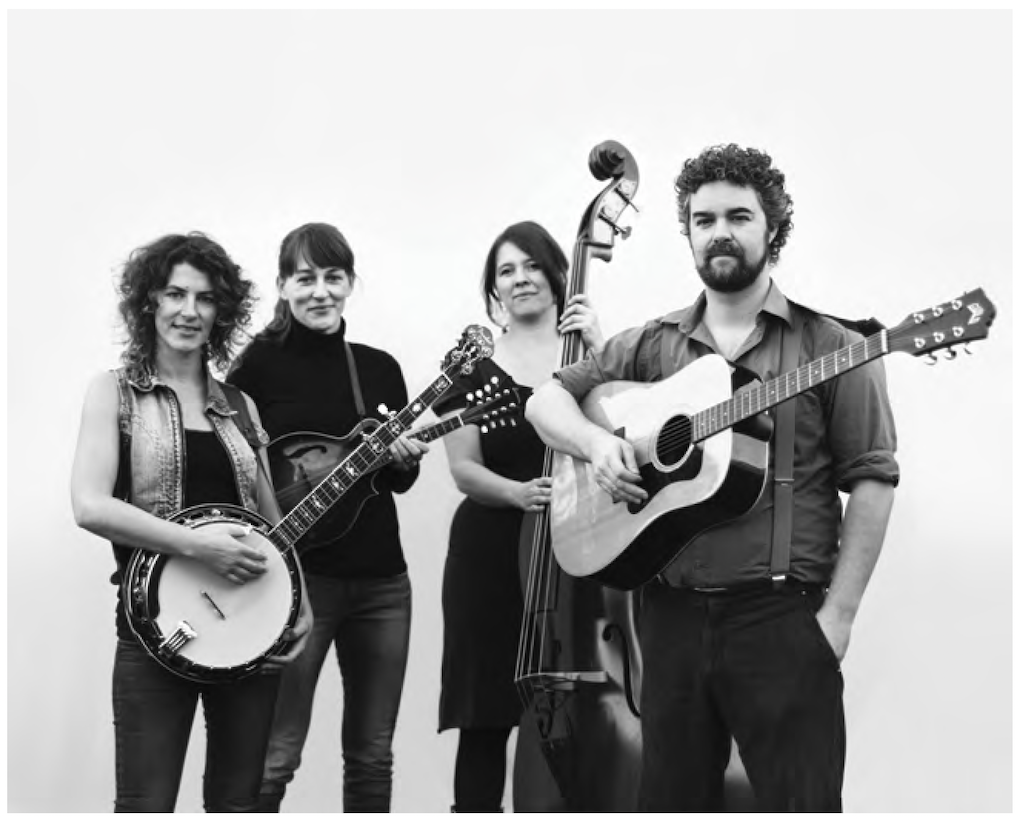 Velvet Joe & The Bluegrass Diamonds v roce 2015 s Jorisem Scheepersem | Foto: Marieke Odekerken.