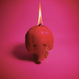  Arcade Fire – Pink Elephant