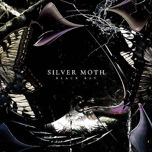 Silver Moth - Black Bay