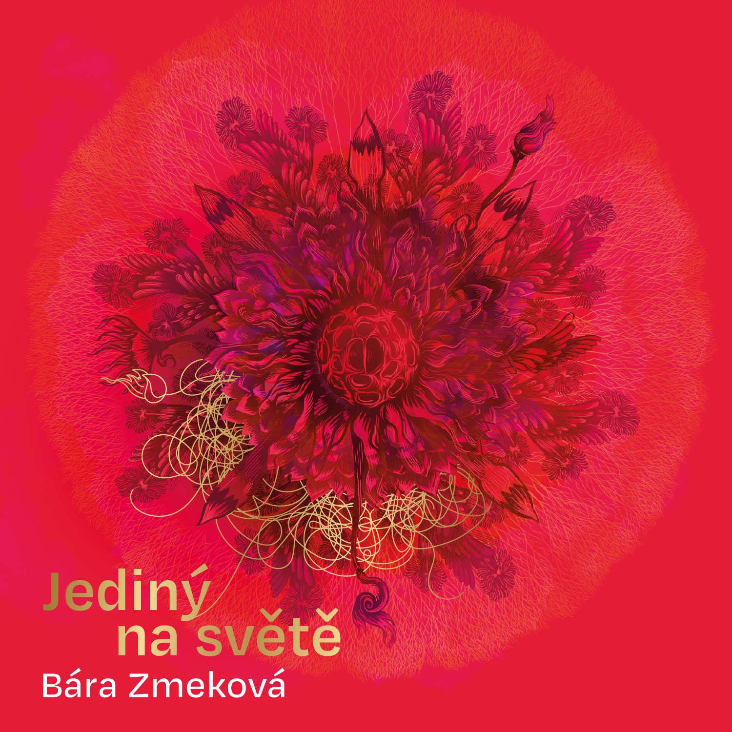 Bára Zmeková - Jediný na světě