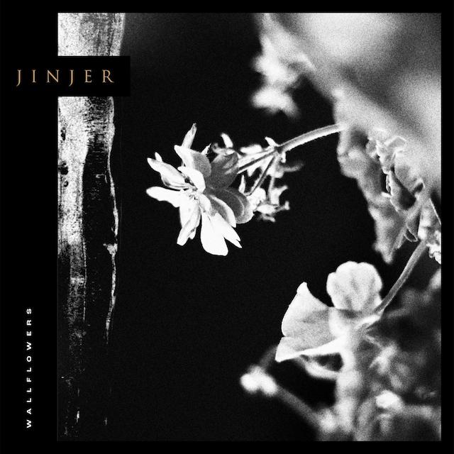 jinjer