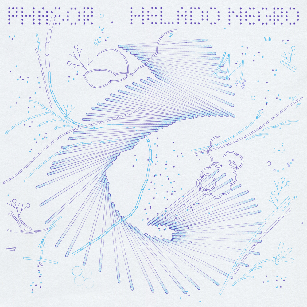 Helado Negro - Phasor 