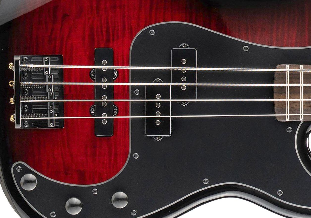 ESP LTD Surveyor-204DX Red Burst