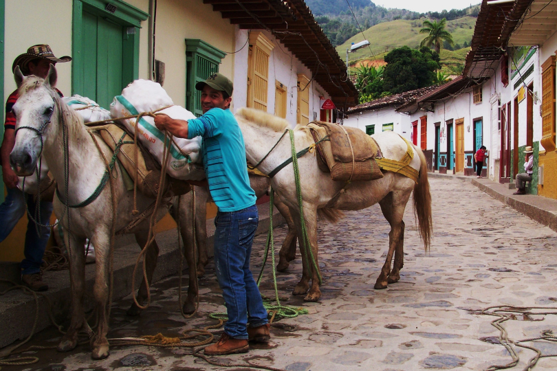 Farmář na kolumbijské vesnici. | Foto: Matěj Ptaszek 