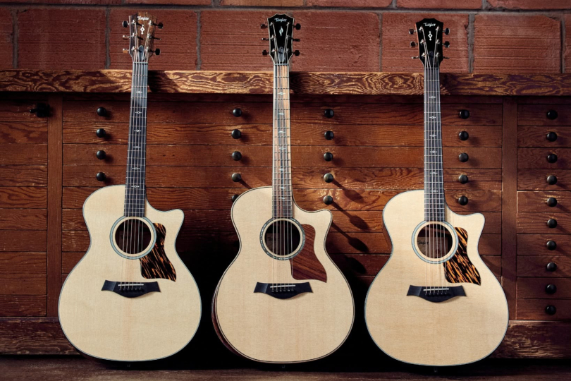 Jaký Taylor je pro vás? Gold Label sází na tradici, Next Generation na moderní zvuk. | Foto: Taylor Guitars