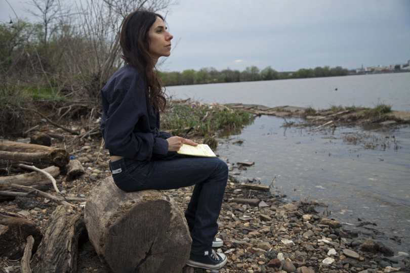 Pj Harvey