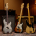 Fender připomíná 75 let Precision Bassu trojicí výročních modelů, které spojují odkaz původního P-Bassu s modernějšími hráčskými prvky. | Foto: Fender