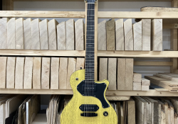 Wolf Sparrow "bumblebee" | Foto: archiv Wolf Guitars