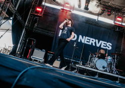 Bad Nerves