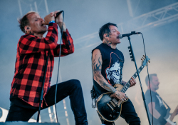 Donots | Foto: autor článku