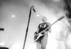 Donots | Foto: autor článku