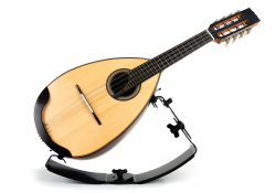 mandolin support