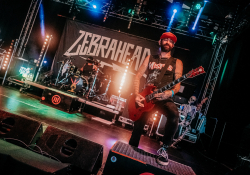 Zebrahead | Foto: autor článku