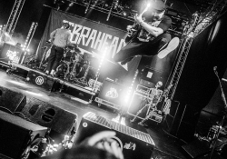Zebrahead | Foto: autor článku