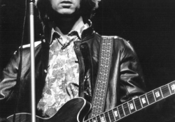 Kytara Gibson ES-335 Erica Claptona