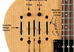 Godin - obr. 8 (Ultra)