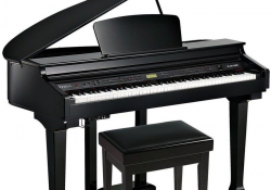 Digit ln k dla Kurzweil KAG100 EP a WHP frontman.cz