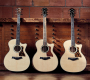 Jaký Taylor je pro vás? Gold Label sází na tradici, Next Generation na moderní zvuk. | Foto: Taylor Guitars