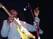 Albert King v roce 1968 | Foto: wikimedia commons