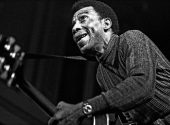 T-Bone Walker patří k nejvlivnějším postavám bluesové historie. | Foto: Heinrich Klaffs, CC BY-SA 2.0