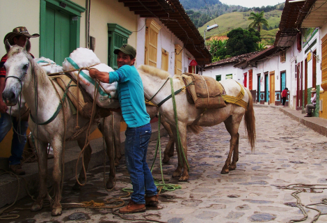 Farmář na kolumbijské vesnici. | Foto: Matěj Ptaszek 