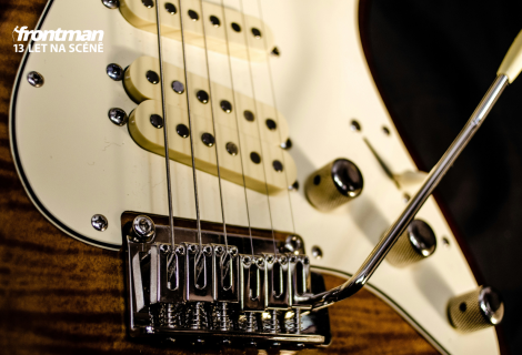 Kytarový snímač je tím „magickým“ místem, kde se chvění strun mění v elektrický signál, který pak míří do vašeho aparátu. | Foto: Dominik Scythe on Unsplash