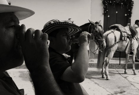 Kolumbijští honáci dobytka | Foto: Matěj Ptaszek