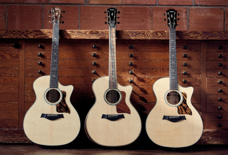 Jaký Taylor je pro vás? Gold Label sází na tradici, Next Generation na moderní zvuk. | Foto: Taylor Guitars