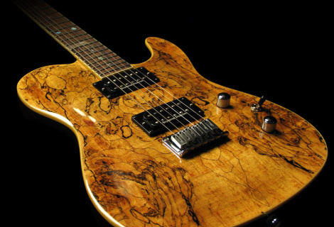 Fender Telecaster Custom Shop Spalted Maple 