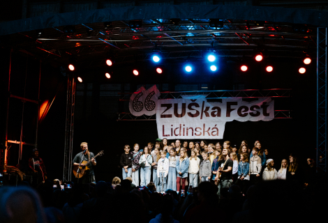 Současné ZUŠky v mnoha městech spoluvytvářejí kulturní život, např. pořádáním open-air festivalů. | Foto: Tereza Slowiková